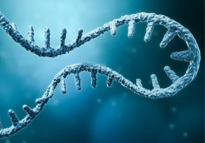 A twisted and folded illustration of single-stranded RNA in front of a blue background. A twisted and folded illustration of single-stranded RNA in front of a blue background.
